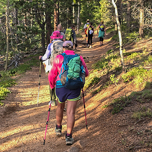 Barr Camp Hike